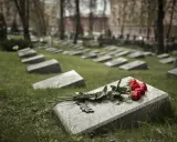 Czerwone róże na kamiennej płycie grobu to prosty sposób, jak udekorować grób bez pomnika.