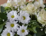 Białe róże i margaretki tworzą elegancki bukiet, idealny jako kwiaty na pogrzeb, symbolizujące czystość i pamięć.