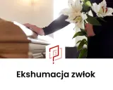 Dłoń na trumnie, bukiet lilii. Dowiedz się, ile kosztuje ekshumacja zwłok i jakie są formalności.