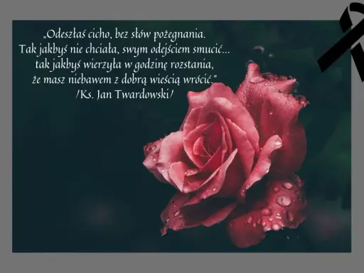 Mądre cytaty na pożegnanie: róża z kroplami rosy i czarną wstęgą. Wiersz ks. Jana Twardowskiego o cichym odejściu.