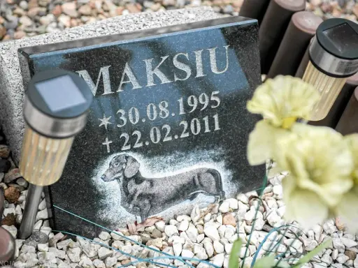 Pies na cmentarzu? Co mówią przepisy i jak uniknąć mandatu?