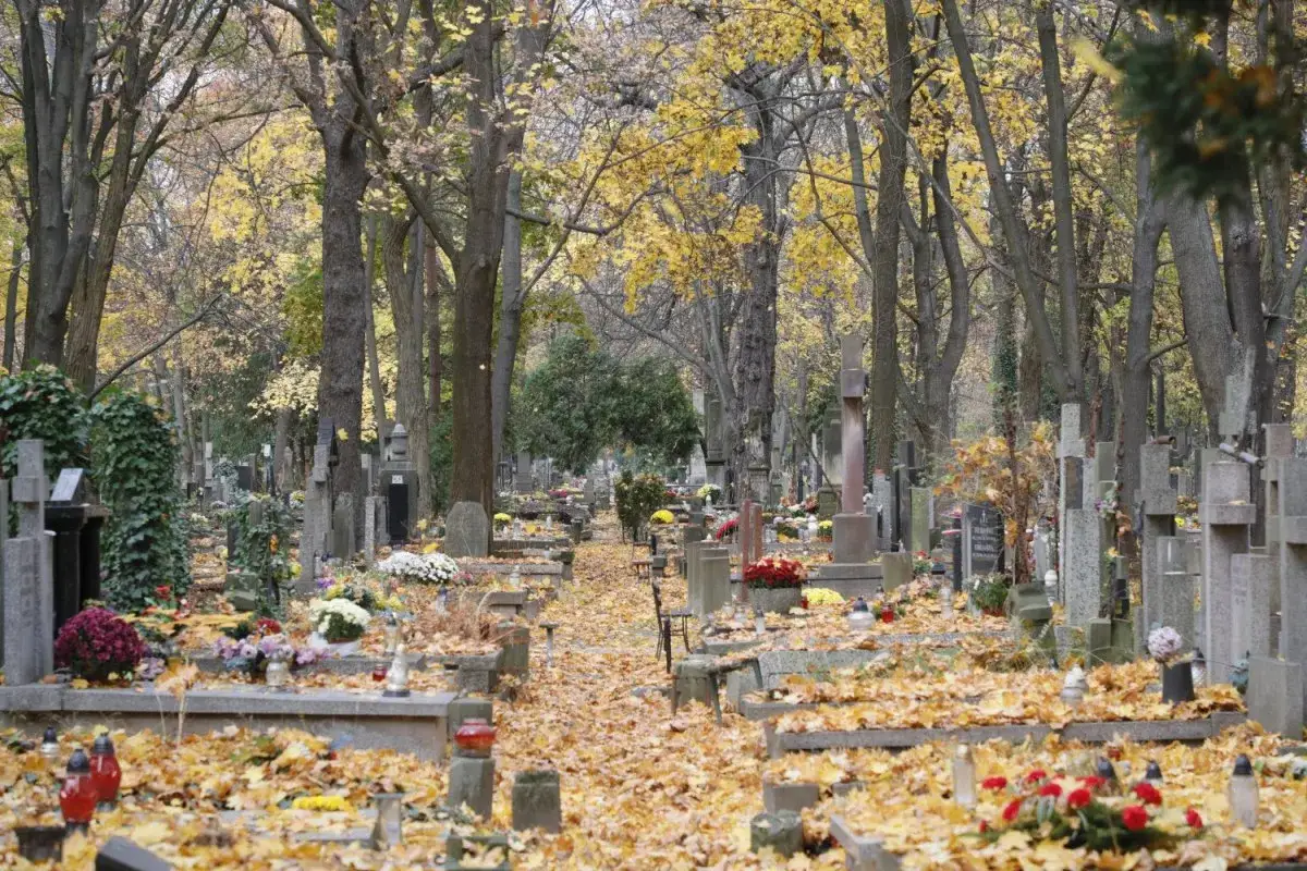 Jesienne liście pokrywają alejki cmentarza. Zastanawiasz się, ile kosztuje miejsce na Powązkach?