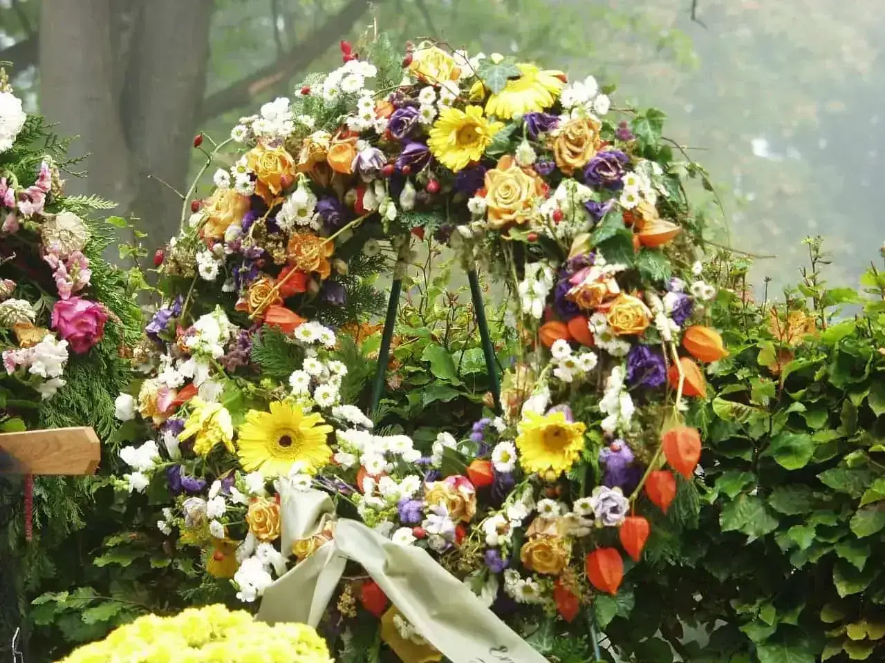 Wieniec pogrzebowy z róż, gerber i miechunki. Smutny, ale piękny ostatnie pożegnanie.
